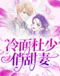 冷面少帅很腹黑免费阅读全文完整版