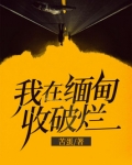 在缅甸做废品回收可以吗