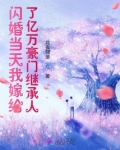 姜岁钟湛是什么小说