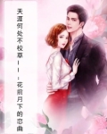 天涯何处不校草II：花前月下的恋曲