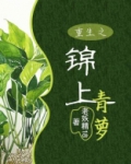 重生之锦上青箩