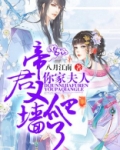 帝君，你家夫人又爬墙了