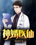 神婿医仙