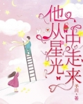 他从星光中走来小说