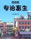 四合院：专治恶人
