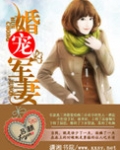 婚宠军妻简介