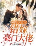 神医少夫人:错嫁豪门大佬