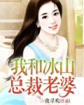 我和冰山总裁老婆