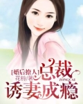 婚后撩人：总裁诱妻成瘾