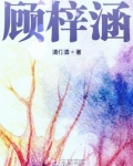 顾梓涵小说