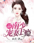 入骨暖婚:南少宠妻上瘾小说