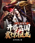 大秦傻子,开局监国震惊祖龙