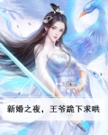 新婚之夜，王爷跪下求哄