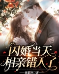 相亲相错人还闪婚领证的小说