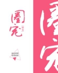 圈宠小说