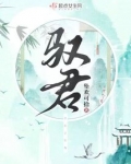 驭君小说全文免费阅读无弹窗