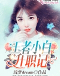 王者小白升职记