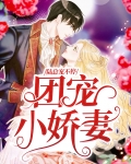 团宠小娇妻，陆总宠不停