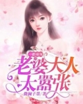 一胎双凤老婆大人太嚣张免费