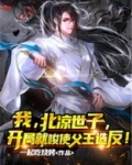 我，北凉世子，开局就唆使父王造反！