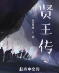 贤王传电视剧免费观看