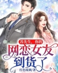 苏先生,你的网恋女友到货了
