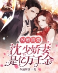 闪婚错爱：沈少娇妻是亿万千金