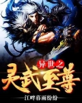 异世灵武天下至尊殿主人是谁
