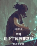 木叶:这个宇智波非常苟