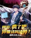 网游:疯了吧,你管这叫法师?