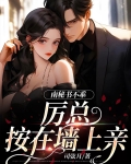 南秘书不乖,厉总按在墙上亲