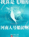 我真是飞翔的河南人号船长啊