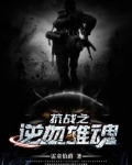 抗战之逆血雄魂 小说