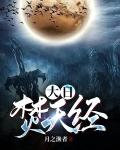 大日焚天经