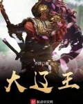 大辽网