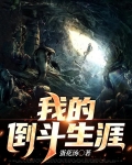 我的倒斗生涯百度云