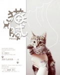 猫腻为什么凉了