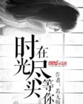 在时光尽头等你小说
