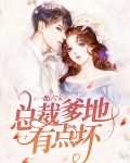 一胎六宝：总裁爹地有点坏