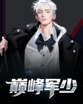 巅峰狂少 小说