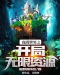我的世界之开局无限资源全文阅读