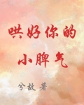 哄好你的小脾气是双男主吗
