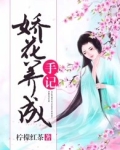 娇花养成手记全文免费阅读 谢瓷