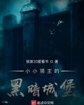 小小领主攻略