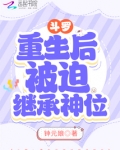 斗罗:重生后被迫继承神位