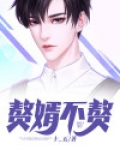 赘婿不赘