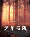少年与风番茄小说免费阅读