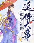 做太子妃的这件大事简介