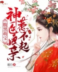 腹黑萌宝神医娘亲惹不起下载